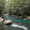 Spania: Inițiativa populară cere modificarea legii apelor după inundații, viața umană pe primul loc