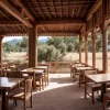 Horchatería Ascunsă în Valencia: Paradisul Iubitorilor de Horchata