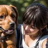 Noblecan: Dresaj canin și etologie în Madrid și Valencia