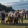 Un bărbat în stare critică după ce a fost lovit de un cal la sărbătoarea din Spania