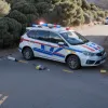 O tânără de 19 ani și partenerul ei, arestați pentru uciderea bunicului pe Gran Canaria