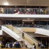 Un hamster evadat a cauzat haos pe un zbor LATAM în Peru
