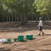Bonmatí (SDDR Spania): Implementarea sistemului de returnare a ambalajelor până în 2026 este imposibilă