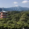 Alegeri în Japonia: Coaliția de guvernare riscă să piardă majoritatea în Parlament