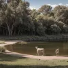 Sanctuarul pentru animale al artistei Beba Linaro: un refugiu pentru viața sălbatică din Argentina
