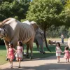 ZOO cu copiii: Merită să mergi? Argumente pro și contra