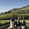 Familia Torres luptă împotriva schimbărilor climatice: Reducerea emisiilor de CO₂ și inițiative ecologice