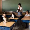 Catalonia: Redistribuirea posturilor pentru profesori provoacă controverse – 5% dintre cadrele didactice afectate