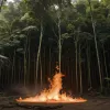 Amazonia în flăcări: Criza climatică distruge plămânii planetei