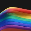 Scandal în Germania: Merz susține interzicerea steagului LGBT în Bundestag, stârnind critici