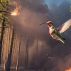UE și clima: Spiritul Colibri în Lupta împotriva Încălzirii Globale