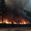 Un incendiu forestier în Galicia: o persoană moare în Ourense