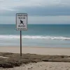 Trei plaje din Valencia, închise din cauza bacteriilor fecale: detalii și așteptări