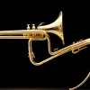 A murit Chuck Mangione, legendarul muzician de jazz și compozitor al hitului "Feels So Good"