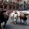 Al doilea encierro de San Fermín: Taurii Cebada Gago în prim-plan