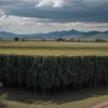 Zece bărbați condamnați pentru omor și dispariție la ferma Izaguirre din Mexic