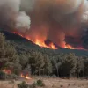 Incendiu devastator în Tarragona: Focul distruge sudul Cataluniei, pompierii depășiți