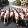 San Fermin: Al treilea encierro la Pamplona – reportaj foto