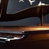 Pierre-Laurent Aimard și Olivier Messiaen cuceresc Granada cu muzica păsărilor la festival