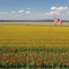 Război comercial: SUA impune o taxă de 17% pe exporturile de roșii din Mexic