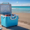 Răcitorul portabil perfect există și este pe Amazon: capacitate mare, rezistent și cu peste 17.000 de recenzii