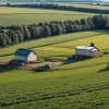 Producția globală de alimente va crește cu 14% în următorul deceniu: Ce înseamnă pentru România?