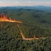 Incendii de vegetație în Europa: Harta focarelor active și situația actuală