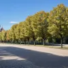 Spania se pregătește pentru finalul caniculei: aproape întreaga țară în stare de alertă