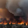 Incendiu de vegetație în Catalonia: Focul stabilizat, evacuare în două campinguri