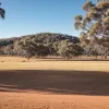 Google va plăti o amendă de 35,8 milioane de dolari în Australia pentru încălcarea legilor concurenței