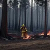 Tragedie în León: Pompierul din Soria a murit în timpul stingerii incendiului