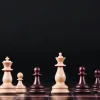 Capodopera șahistă: Un video cu studiul genial al lui Kasparian