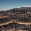 Guvernul spaniol va declara zone de dezastru zonele afectate de incendii