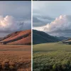 Schimbările climatice și democrația: cum criza climatică subminează societatea și ce putem face