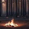 Incendiile în Spania: Situația se stabilizează în unele regiuni, dar Galicia este încă afectată