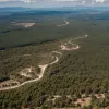 Incendiu de pădure în Tarifa: evacuări, daune și eforturi de combatere