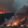 Incendiu de vegetație în Tarifa: evacuare masivă și implicarea aviației