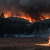 Incendiile din Spania se ameliorează „foarte lent” cu 15 focuri grave active