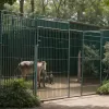 Un "zoo" clandestin în Spania: Poliția descoperă 150 de animale rare