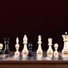 Magnus Carlsen: Triunful precoce al unui geniu la Linares (2009)