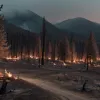 Incendii în Spania: Situația se ameliorează, dar lupta continuă