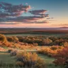 Noile legi din Texas care intră în vigoare la 1 septembrie