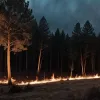 Incendiile forestiere în Europa: Cum le putem opri?