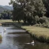 Primul caz de gripă aviară detectat în Catalonia la o barză