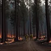 Spania a redus numărul de pompieri în 2024 în ciuda riscului ridicat de incendii forestiere