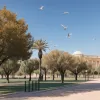 Málaga închide un parc, iar Sevilla încă două din cauza deceselor de păsări: suspiciune de gripă aviară
