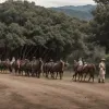 72 de militari reținuți de fermieri în Cauca, Columbia: Tensiuni în creștere