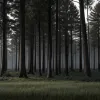 Un tată care se ascundea cu copiii în pădure în Noua Zeelandă, împușcat mortal de poliție