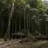 Marea simulare climatică: cum cheltuiesc mexicanii miliarde pentru a combate schimbările climatice