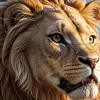 Paraguay celebrează revenirea la Cupa Mondială în limba guarani